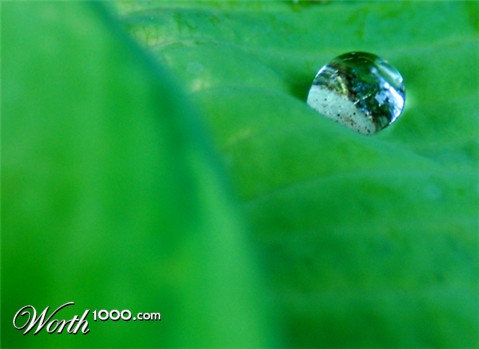 Photography by SeeVee