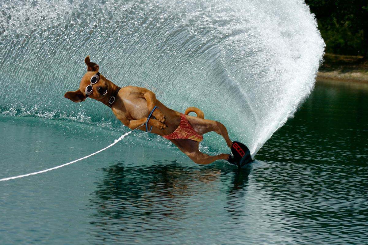 Photoshop Design by underworth for DesignCrowd (Community Contests) | Design #8975828