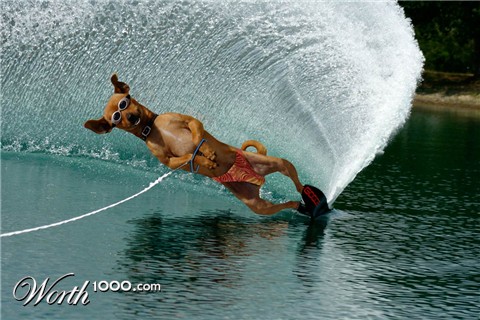 Photoshop Design by underworth