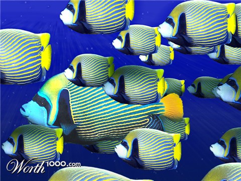Photoshop Design by Sprunth