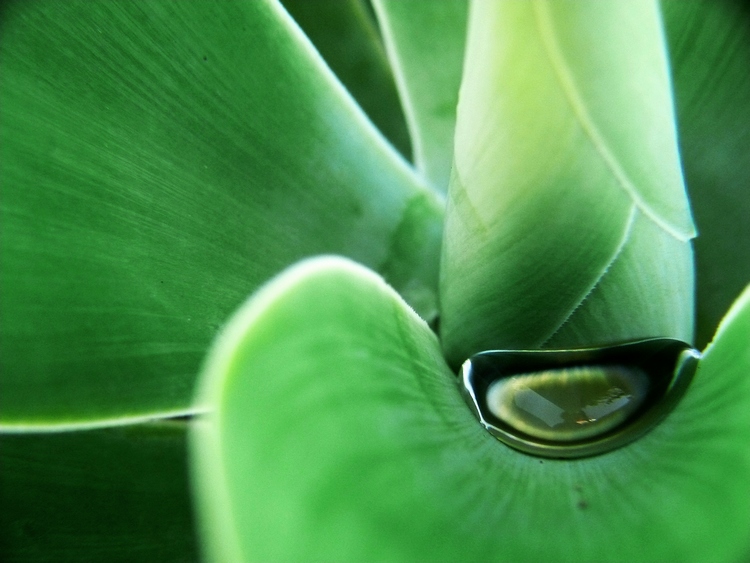 Photographie par resouzaesouza pour DesignCrowd (Community Contests) | Design #8969127