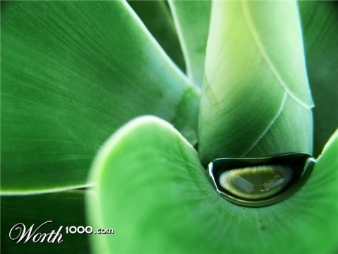 Photography by resouzaesouza