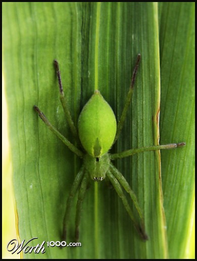 Photography by deltanove