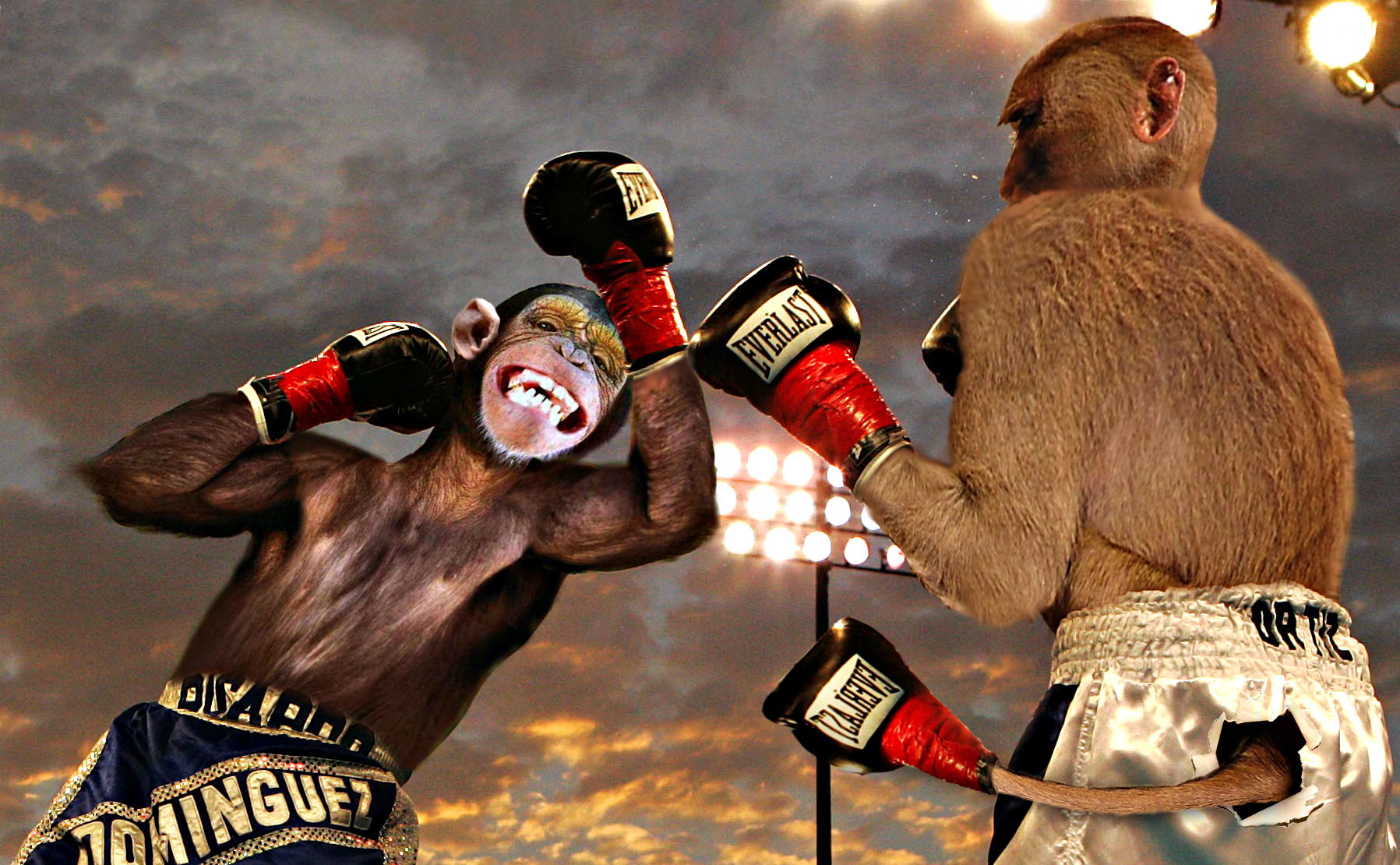 Photoshop Design by siemhustler for DesignCrowd (Community Contests) | Design #8975846