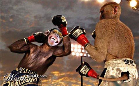 Photoshop Design by siemhustler