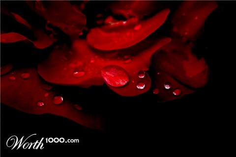 Photography by csoxxa