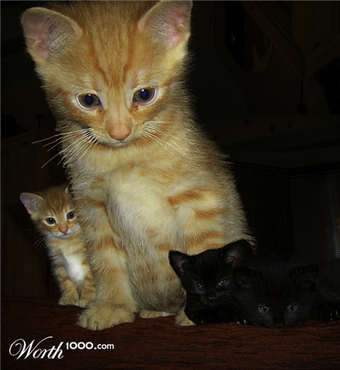 Photoshop Design by hodgesant