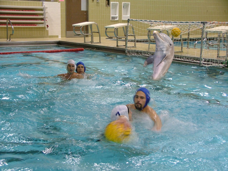 Photoshop Design by alyens1985 for DesignCrowd (Community Contests) | Design #8975838