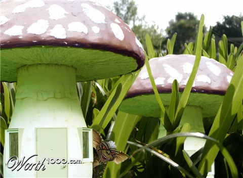 Photoshop Design by lachie1134