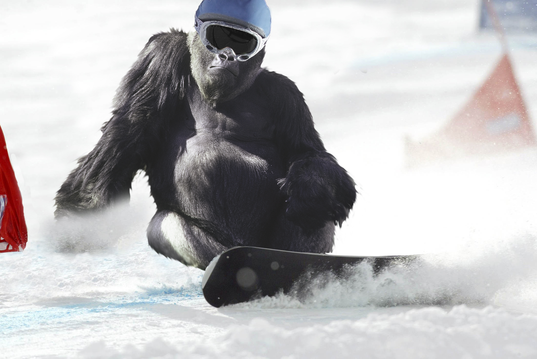 Photoshop-Design von lachie1134 für DesignCrowd (Community Contests) | Design #8975841