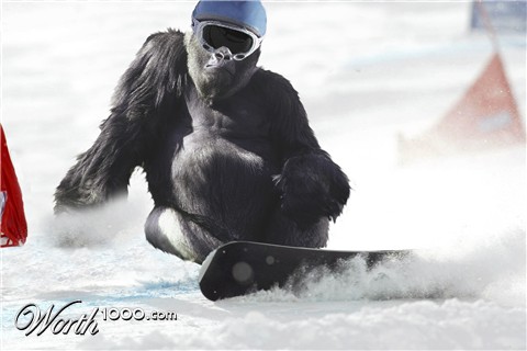 Photoshop Design by lachie1134