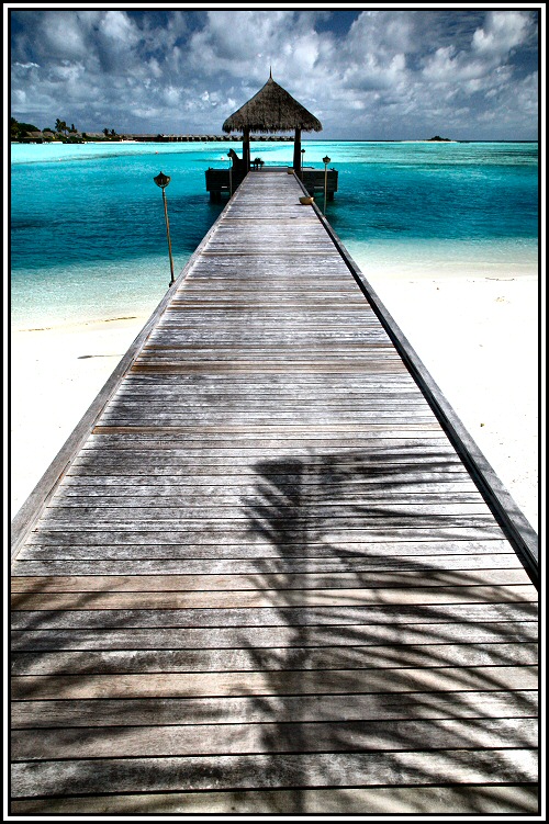 Photography by Juicer for DesignCrowd (Community Contests) | Design #8971793