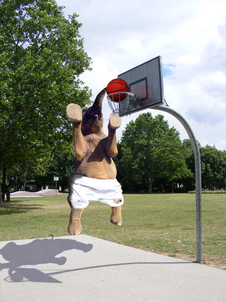 Design Photoshop par bicyclewilli pour DesignCrowd (Community Contests) | Design #8975833