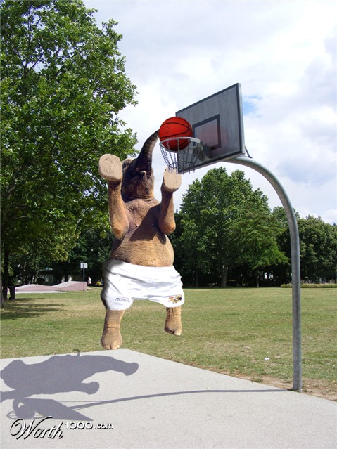 Photoshop Design by bicyclewilli