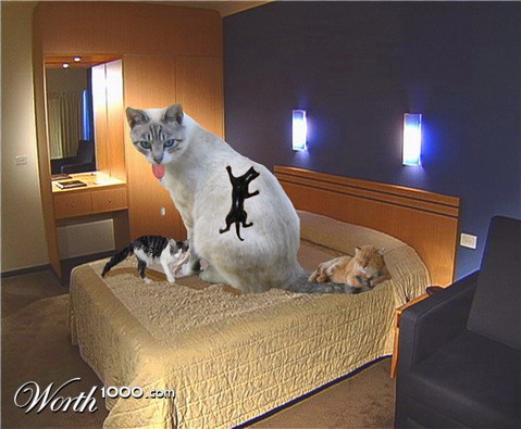 Photoshop Design by dogboy44