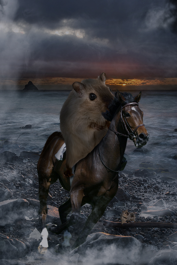 Design Photoshop par ruppelman pour DesignCrowd (Community Contests) | Design #8974199