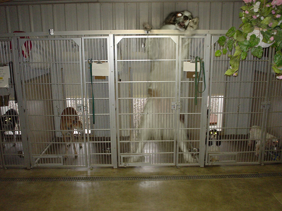 Design Photoshop par Squall5005 pour DesignCrowd (Community Contests) | Design #8974185