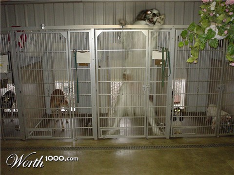 Photoshop Design by Squall5005