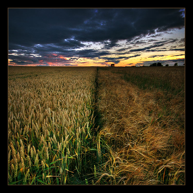 Photography by MasterGnu for DesignCrowd (Community Contests) | Design #8971833