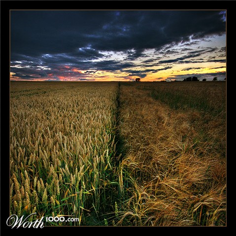 Photography by MasterGnu