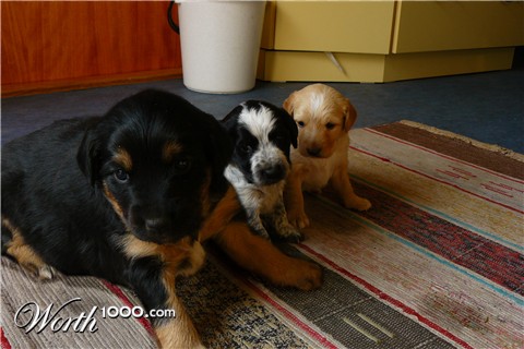 Photoshop Design by ErtepleFile