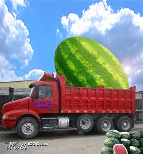 Photoshop Design by wbillard