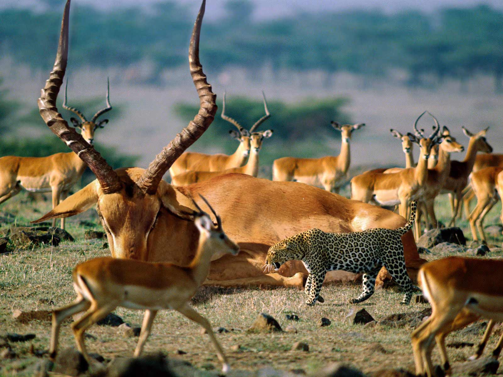 Photoshop Design by portboy76 for DesignCrowd (Community Contests) | Design #8974196