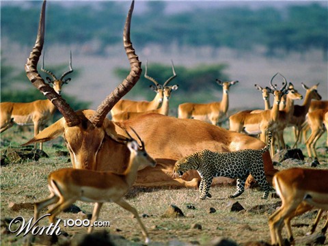 Photoshop Design by portboy76