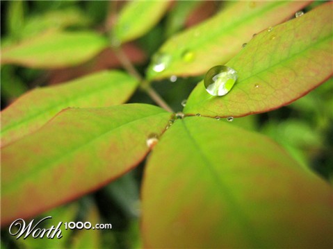 Photography by hollistereagle8