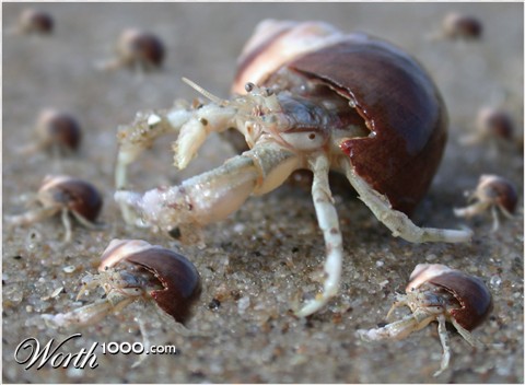 Photoshop Design by chrystellica