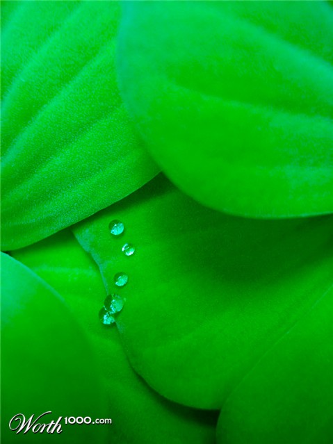 Photography by fdelprado