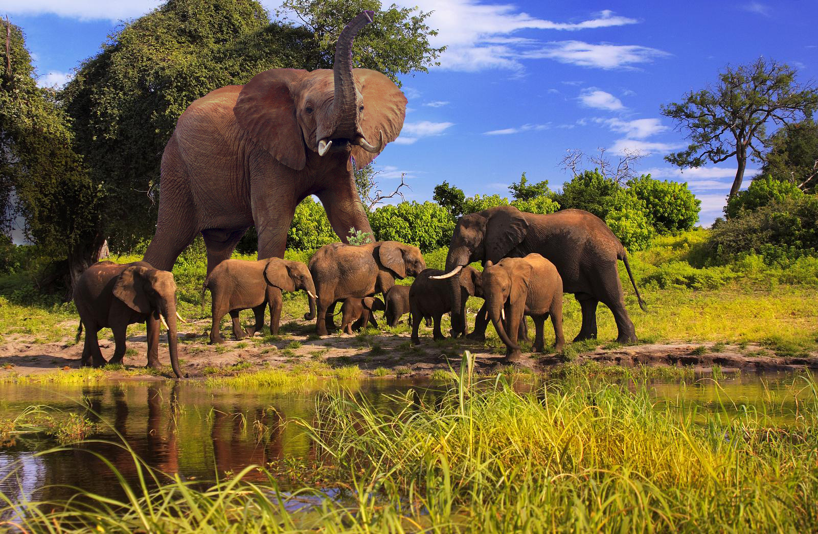 Photoshop Design by michel2404 for DesignCrowd (Community Contests) | Design #8974266