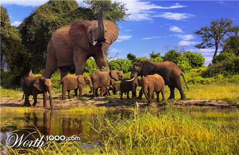 Photoshop Design by michel2404