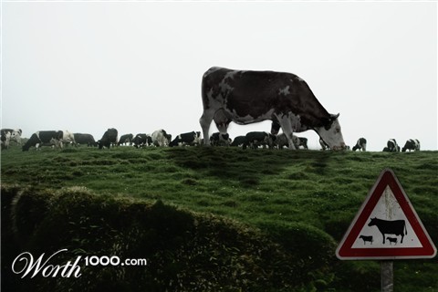 Photoshop Design by MarcusL