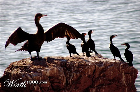 Photoshop Design by hermessz