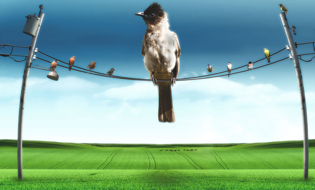 Photoshop Design by Deivis Ramos for DesignCrowd (Community Contests) | Design #8974307