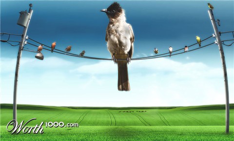 Photoshop Design by Deivis Ramos