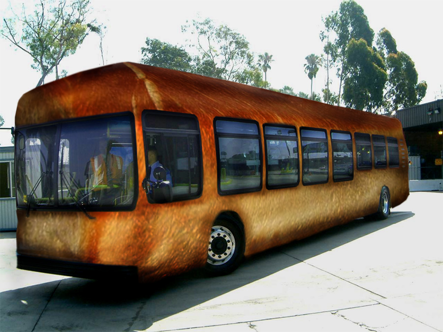 Photoshop Design by shelbyzman for DesignCrowd (Community Contests) | Design #8974842