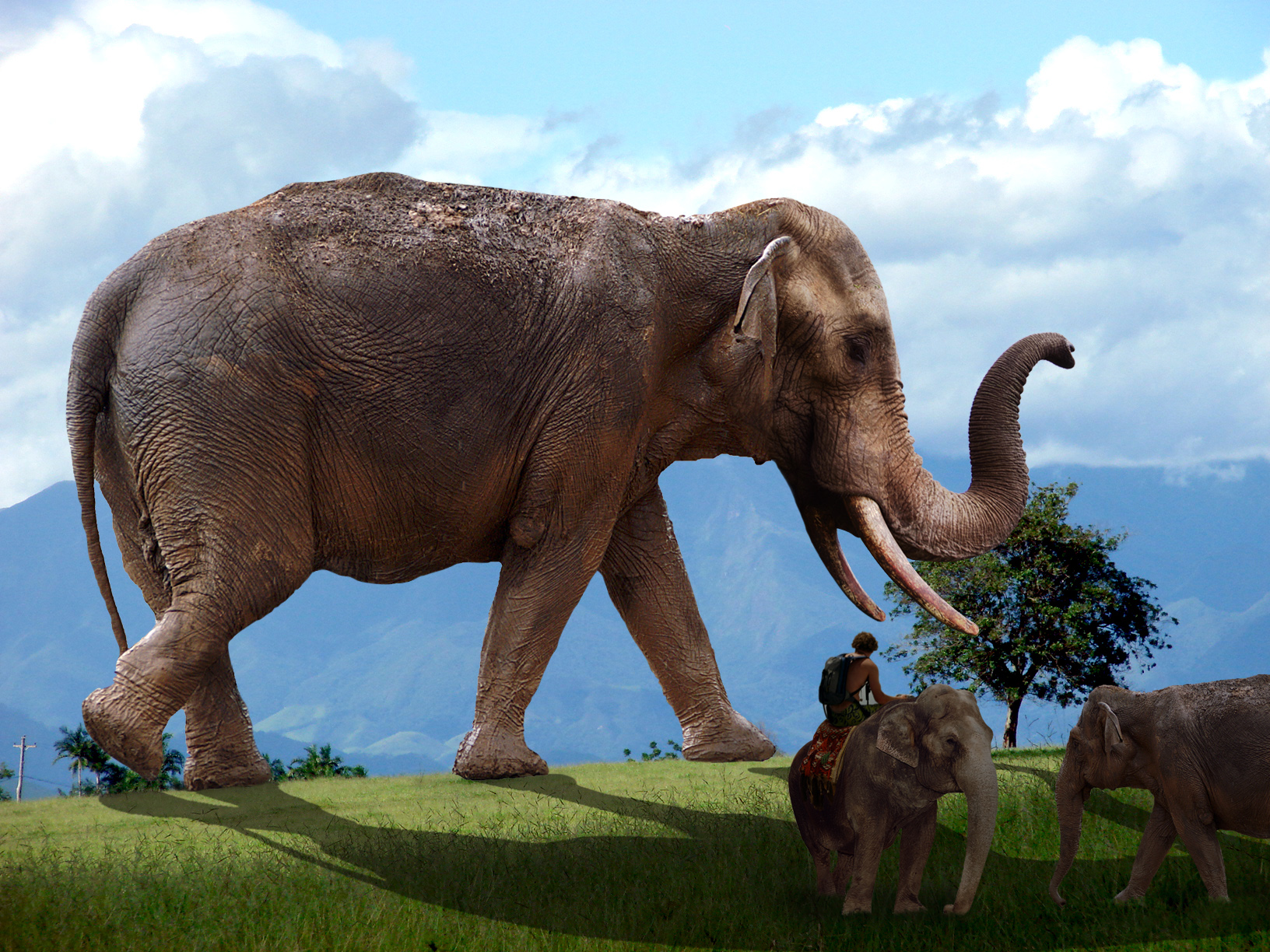 Photoshop-Design von tarryn4312 für DesignCrowd (Community Contests) | Design #8974380