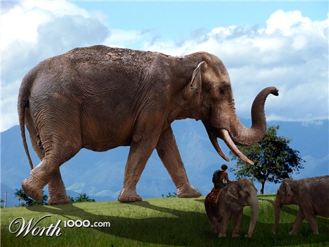 Photoshop Design by tarryn4312