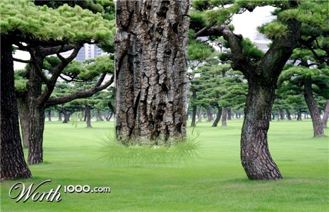 Photoshop Design by leeuhhlove