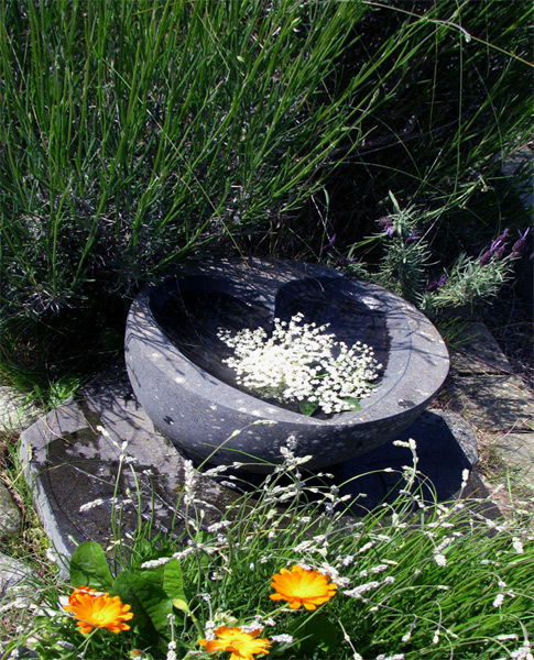 Photography by evalambert for DesignCrowd (Community Contests) | Design #8969857