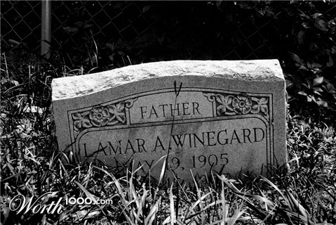 Photography by pinkfly