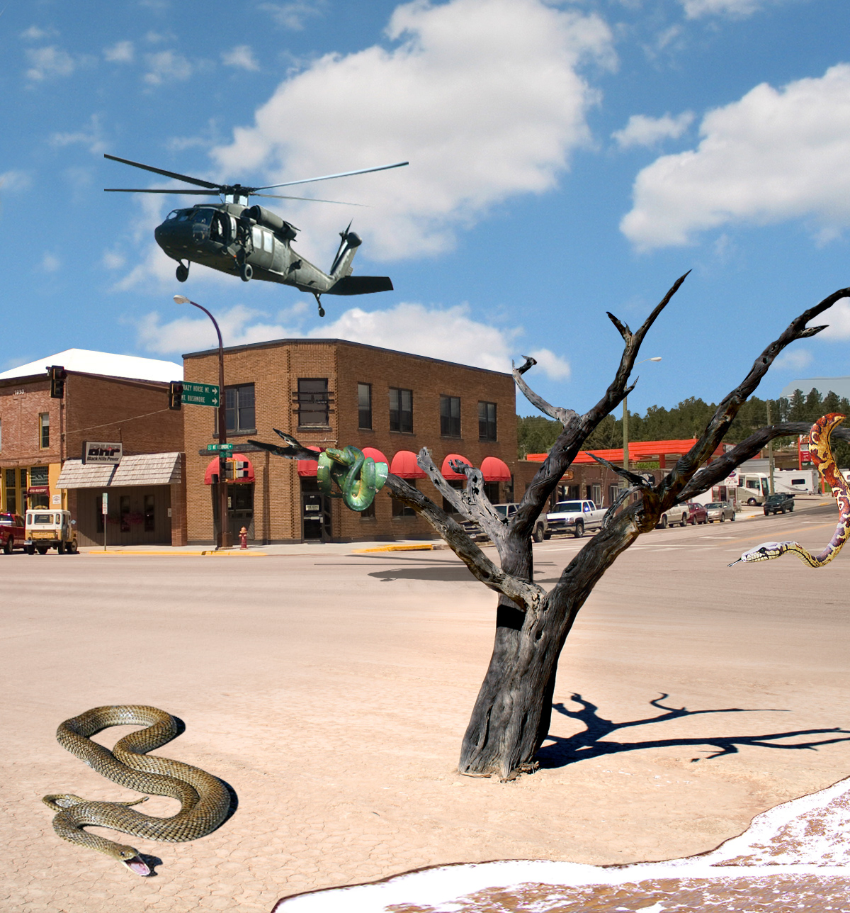 Design Photoshop par tarryn4312 pour DesignCrowd (Community Contests) | Design #8971786