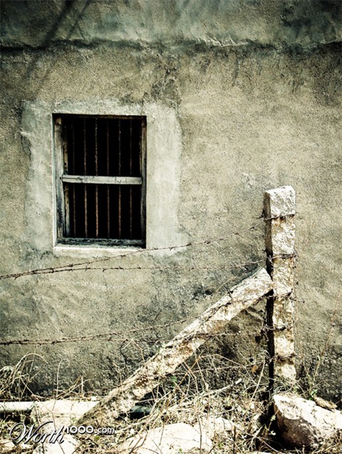 Photography by sadiquekhan