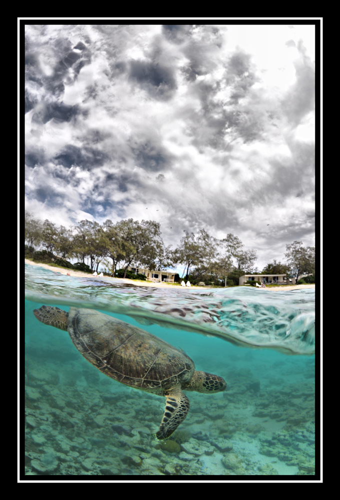 Fotografía por octopulse para DesignCrowd (Community Contests) | Diseño #8971866