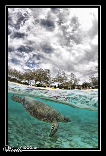 Photography by octopulse