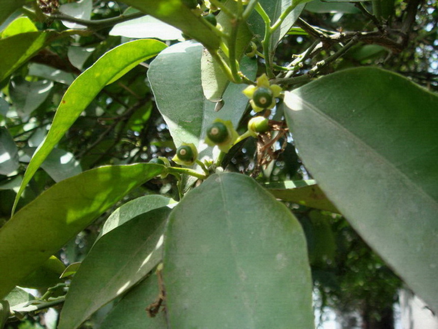 Photography by memool for DesignCrowd (Community Contests) | Design #8969232