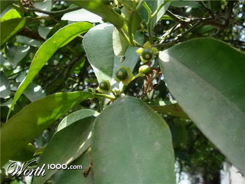 Photography by memool