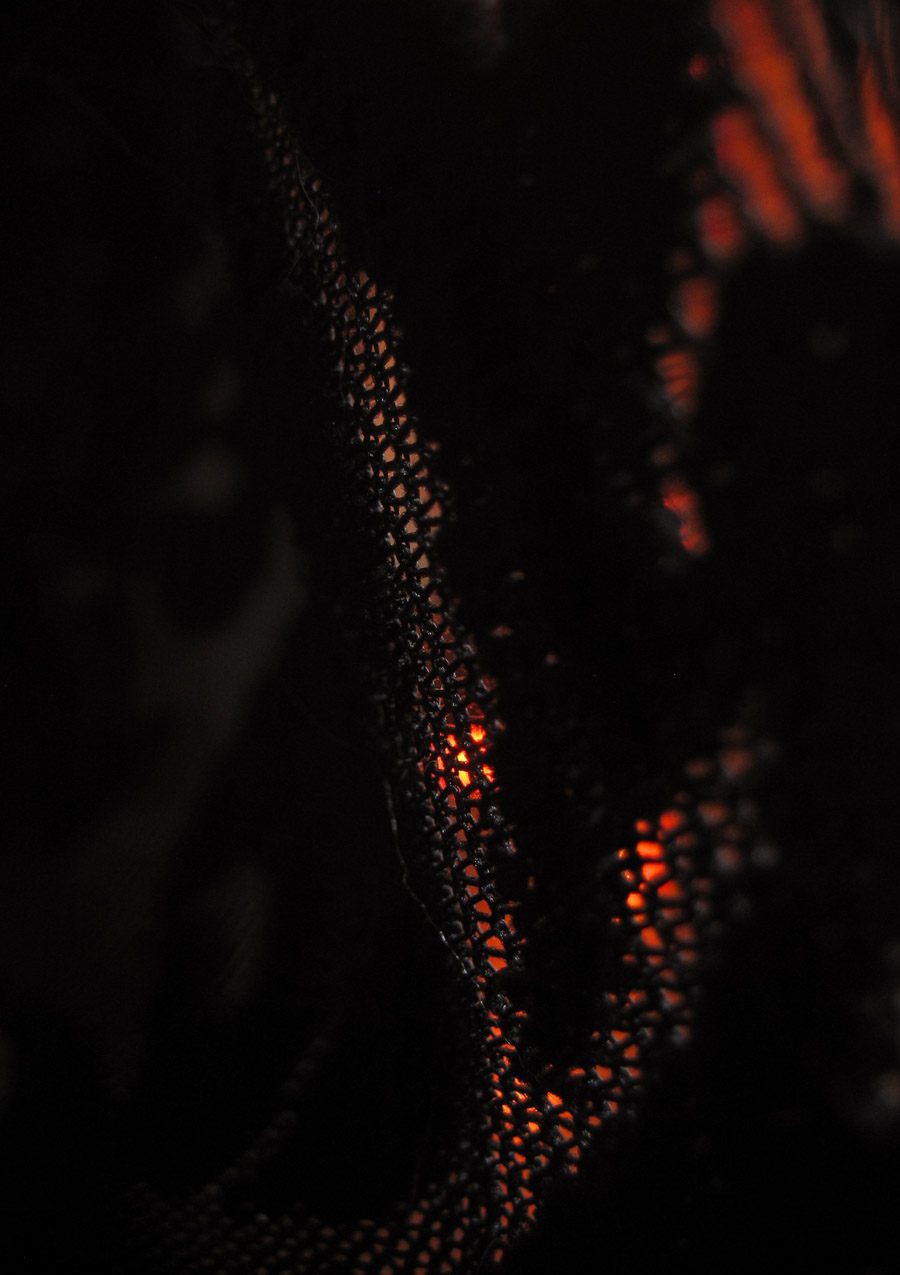 Photography by Titotranscom for DesignCrowd (Community Contests) | Design #8969355